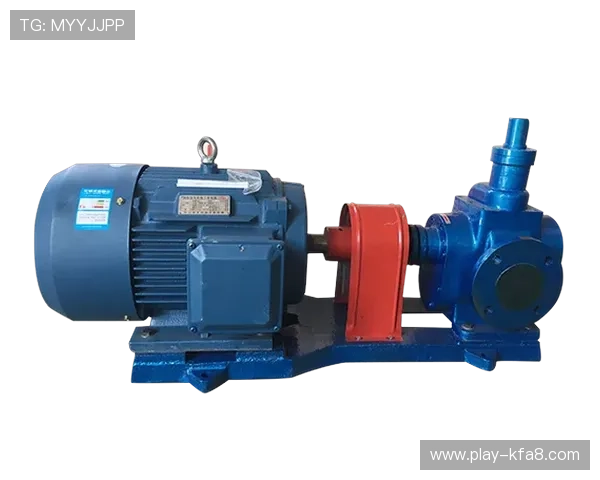 最新PA视讯登录入口地址和登录流程详细介绍帮助你顺利进入账户