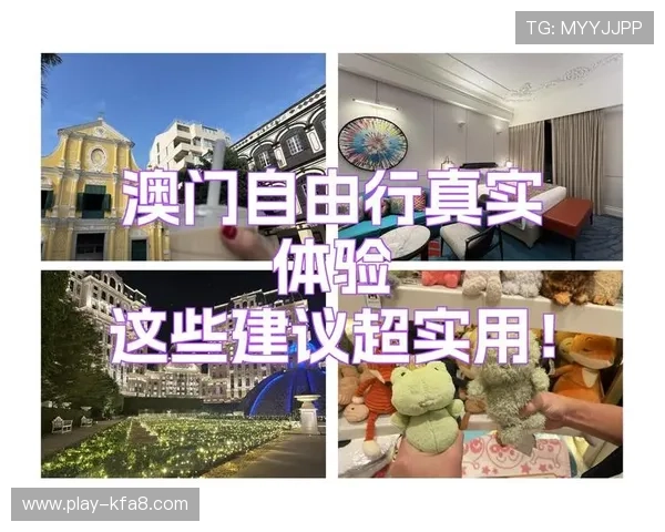 ag中国官网用户体验优化方案，提升您的访问效率与购物体验的实用建议